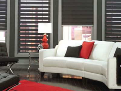 05 Zebrablinds .Jpg1474487086