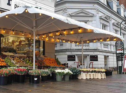 Видео домофон