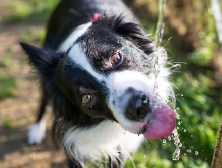 Ο Αυτοματισμός Εξασφαλίζει Δροσιά για να Απολαμβάνετε τους Εξωτερικούς Σας Χώρους
